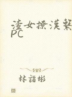 渣女撩汉系统NPC