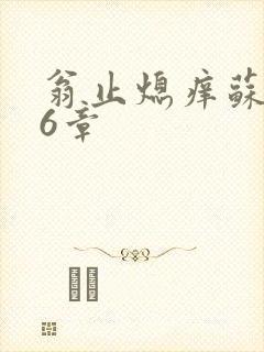 翁止熄痒苏玥第6章