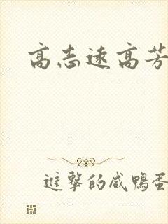高志远高芳封面