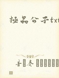 极品公子txt封面