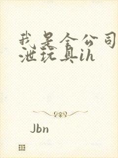 我是全公司的发泄玩具ih封面