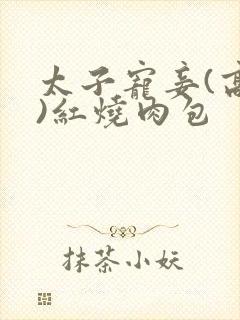太子宠妾(高肉)红烧肉包