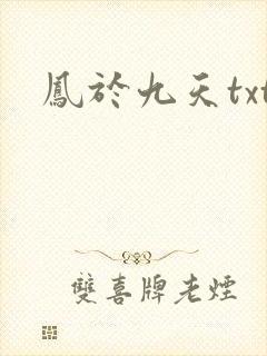 凤于九天txt
