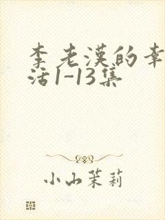 李老汉的幸福生活1-13集