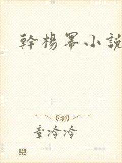 干杨幂小说封面