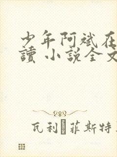 少年阿斌在线阅读 小说全文免费