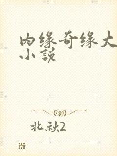 内缘奇缘大团圆小说