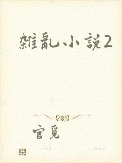 杂乱小说2