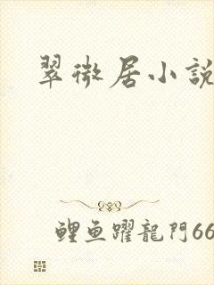 翠微居小说