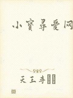 小宝寻爱网封面