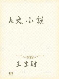 h文小说