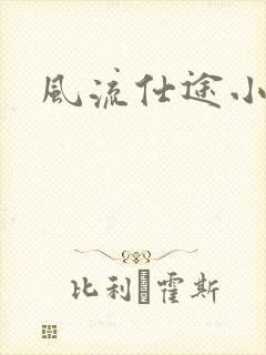 风流仕途小说封面