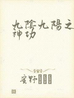 九阴九阳之阴阳神功