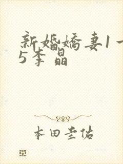 新婚娇妻1一25李晶