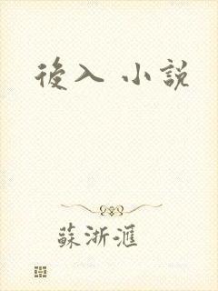 后入 小说