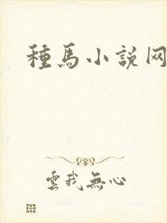 种马小说网封面