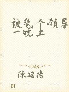 被几个领导玩弄一晚上