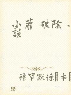 小萝 破除 小说