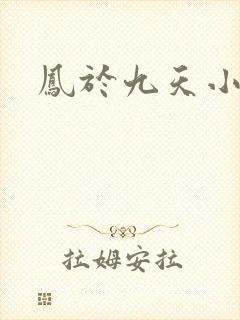 凤于九天小说