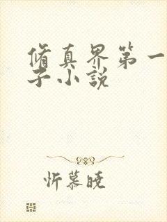 修真界第一病秧子小说