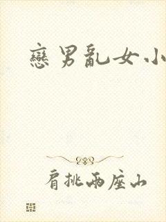 恋男乱女小说封面