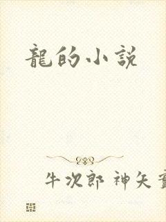 龙的小说
