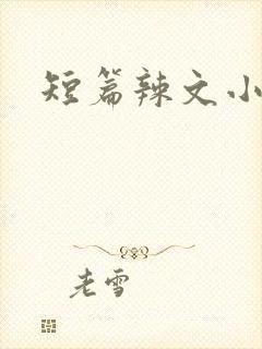 短篇辣文小说