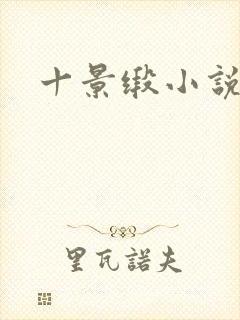 十景缎小说