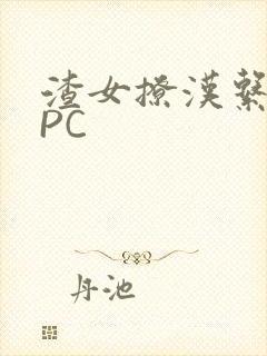 渣女撩汉系统NPC