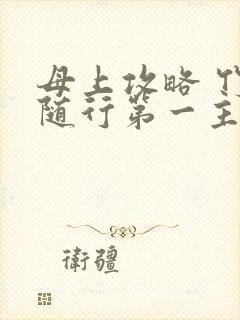 母上攻略 竹影随行第一主板