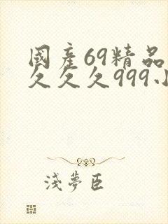 国产69精品久久久久999小说