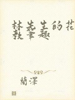 林先生的花式管教笔趣