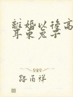 离婚以后高干 耳东兔子