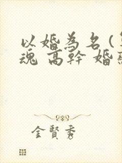 以婚为名 (军魂 高干 婚恋)
