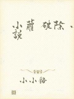 小萝 破除 小说