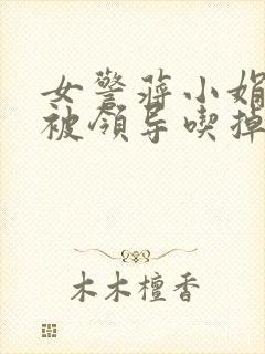 女警蒋小娟的奶被领导吃掉了