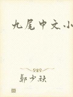 九尾中文小说网