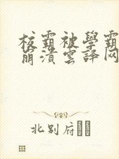 校霸被学霸玩到崩溃云译网封面