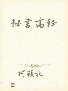 秘书高干