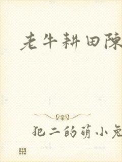 老牛耕田陈雪封面