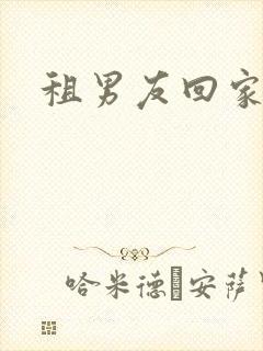 租男友回家过年