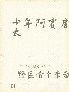 少年阿宾房东太太