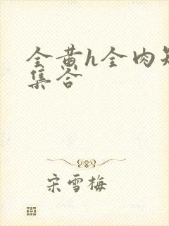 全黄h全肉短篇集合封面