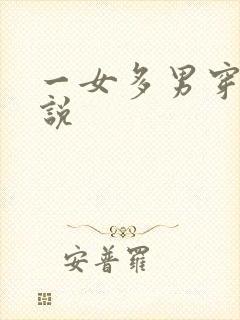 一女多男穿越小说