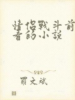 情侣战斗前适合看的小说封面