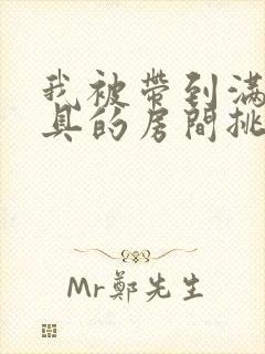 我被带到满是玩具的房间挑调游戏