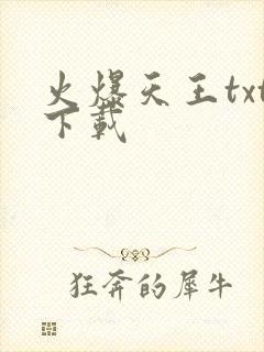 火爆天王txt下载