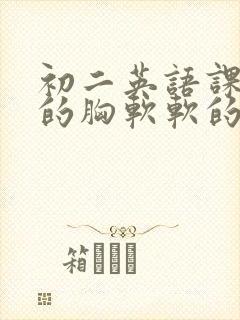 初二英语课代表的胸软软的封面