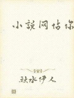 小说网站你懂的