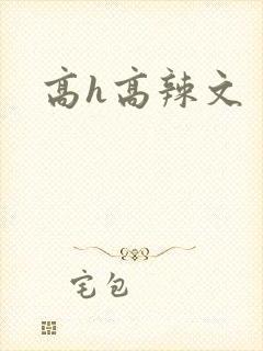高h高辣文